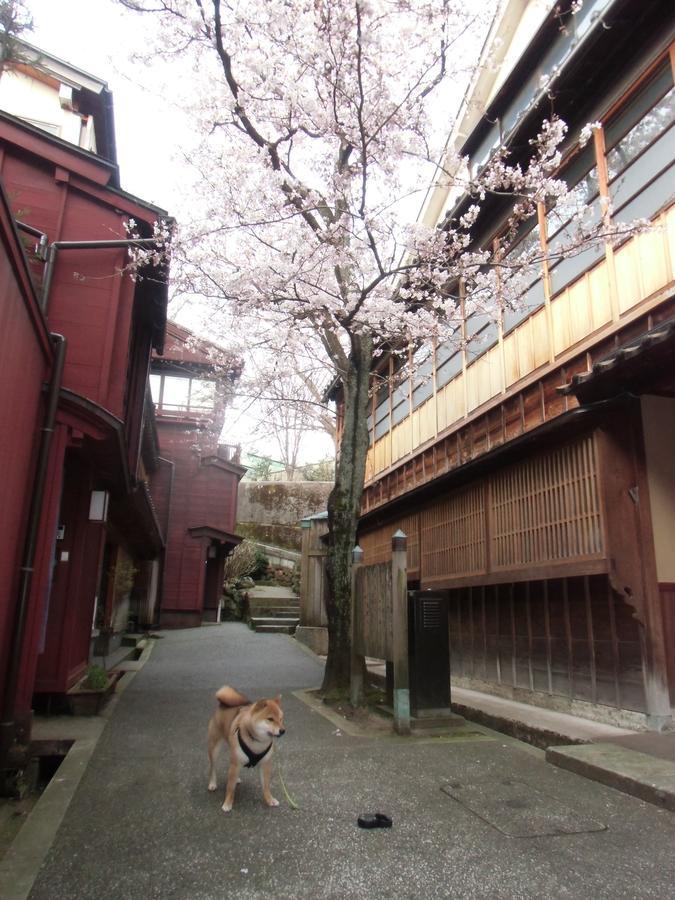 Kanazawa Share House Gaooo Exterior foto